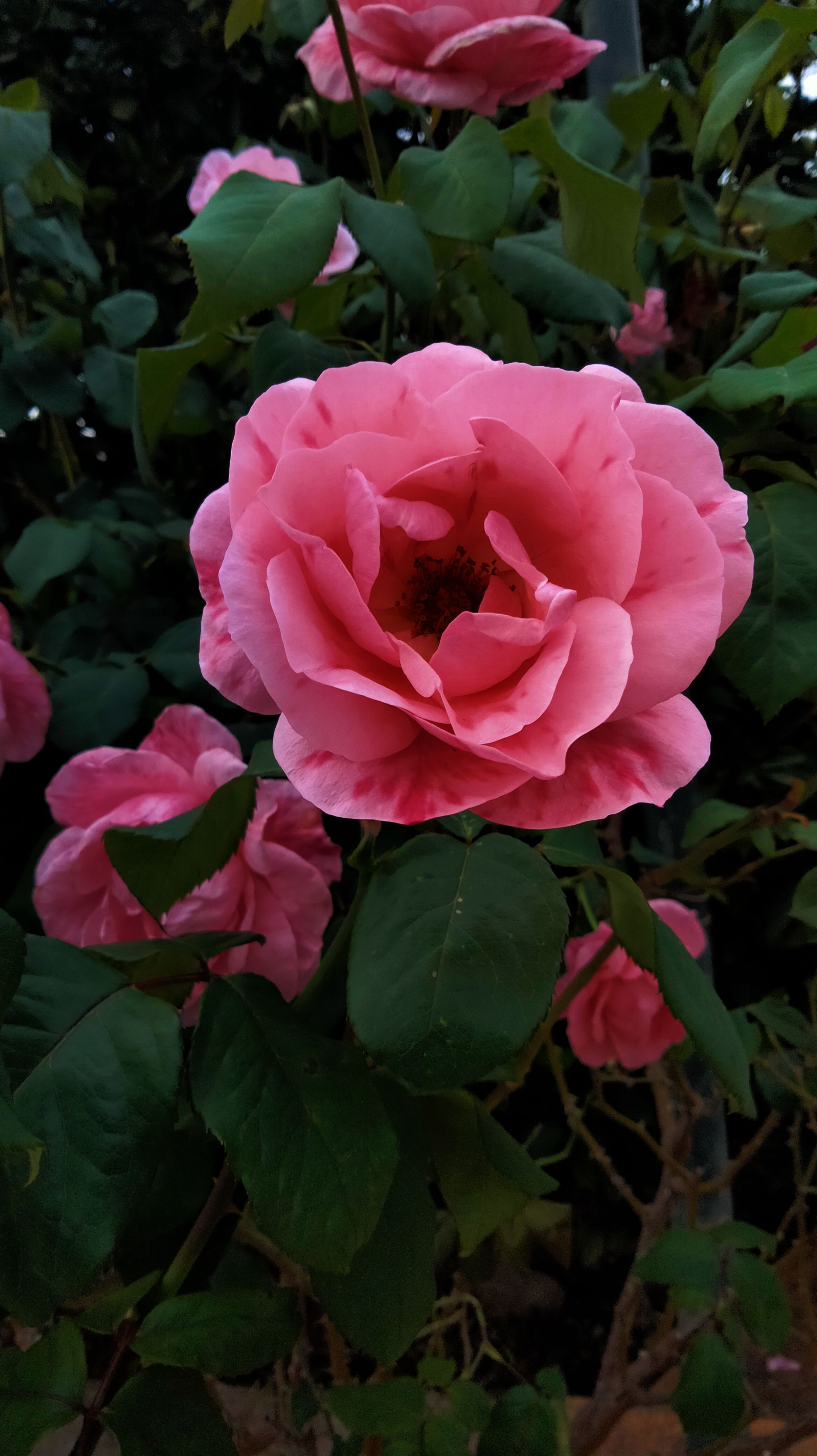 blog